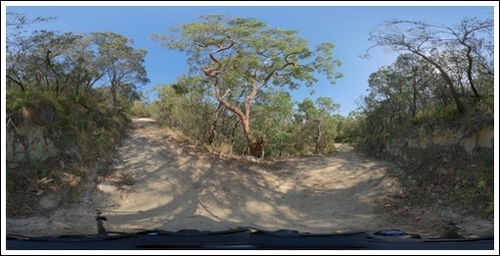 Image Fire_Trail_2_Shoal_Bay_NSW_dig