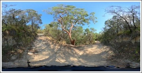 Image Fire_Trail_2_Shoal_Bay_NSW_drago03_bias_0_85_gamma_0_7_dig